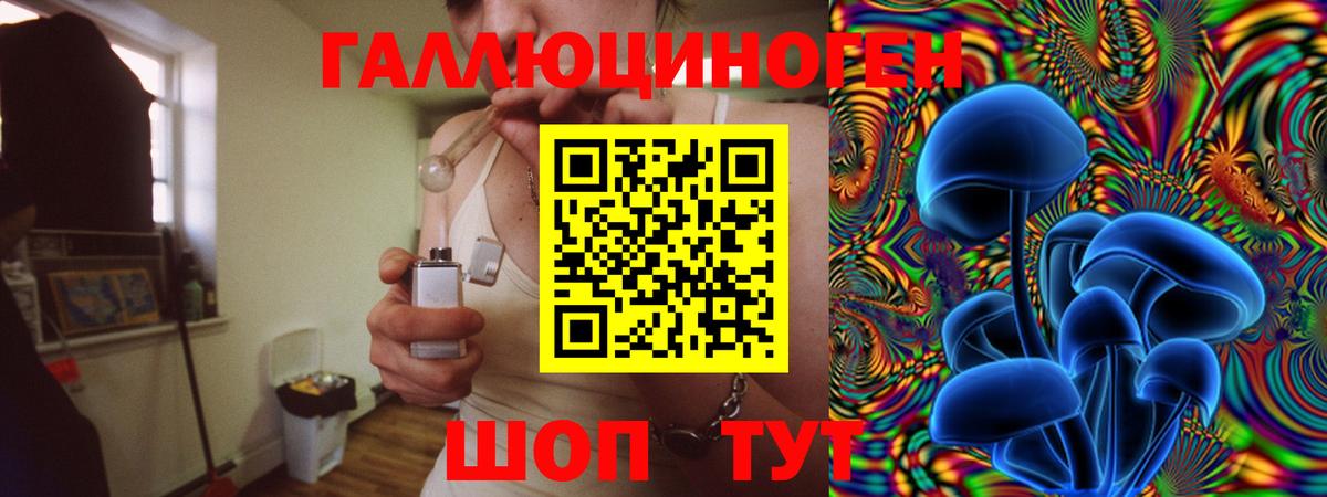 Галлюциногенные грибы Psilocybe  Вход с VPN  Благовещенск 
